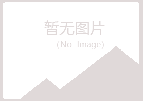 蓝山县初夏培训有限公司